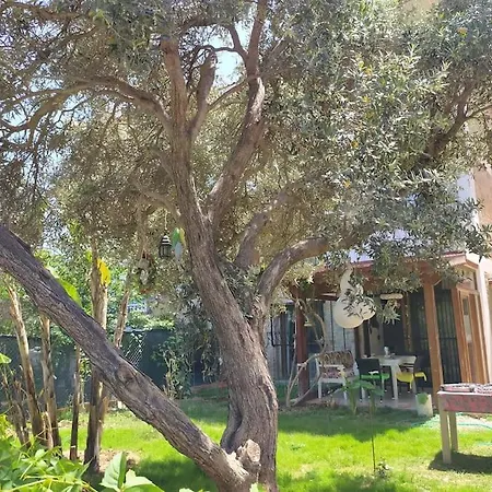 Villa Datca'nin Degerlenen Bolgesi Comarlikta Bahceli Ev Datca