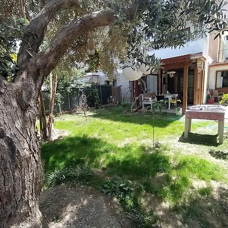Datca'nin Degerlenen Bolgesi Comarlikta Bahceli Ev Datca