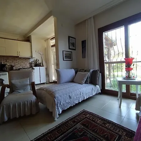 Villa Datca'nin Degerlenen Bolgesi Comarlikta Bahceli Ev *