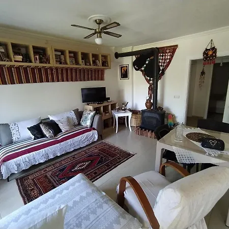 Datca'nin Degerlenen Bolgesi Comarlikta Bahceli Ev Villa Datca
